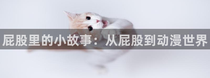 禁漫天堂a：屁股里的小故事：从屁股到动漫世界