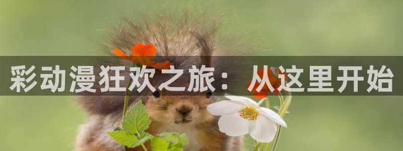 禁漫天堂回家的路：彩动漫狂欢之旅：从这里开始